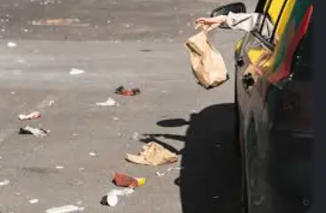 Littering
